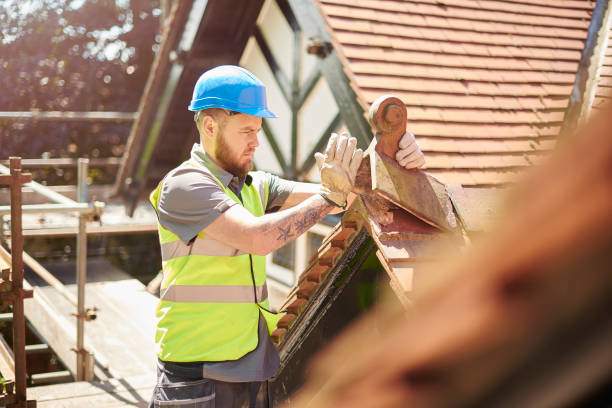 Best Metal Roofing Contractor  in Temelec, CA